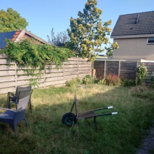 WhatsApp Image 2024-12-15 at 08.19.20_6fb40622